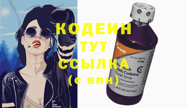 ГАЛЛЮЦИНОГЕННЫЕ ГРИБЫ Вяземский
