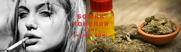 ГАЛЛЮЦИНОГЕННЫЕ ГРИБЫ Вяземский