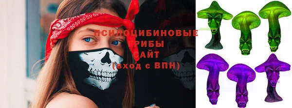 ГАЛЛЮЦИНОГЕННЫЕ ГРИБЫ Вяземский