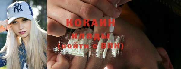 ГАЛЛЮЦИНОГЕННЫЕ ГРИБЫ Вяземский