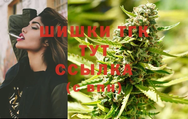 ГАЛЛЮЦИНОГЕННЫЕ ГРИБЫ Вяземский