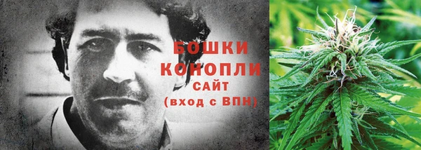 ГАЛЛЮЦИНОГЕННЫЕ ГРИБЫ Вяземский