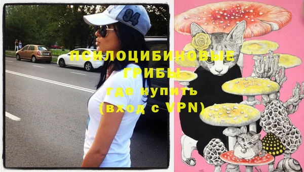ГАЛЛЮЦИНОГЕННЫЕ ГРИБЫ Вяземский
