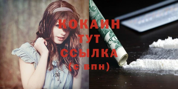 ГАЛЛЮЦИНОГЕННЫЕ ГРИБЫ Вяземский