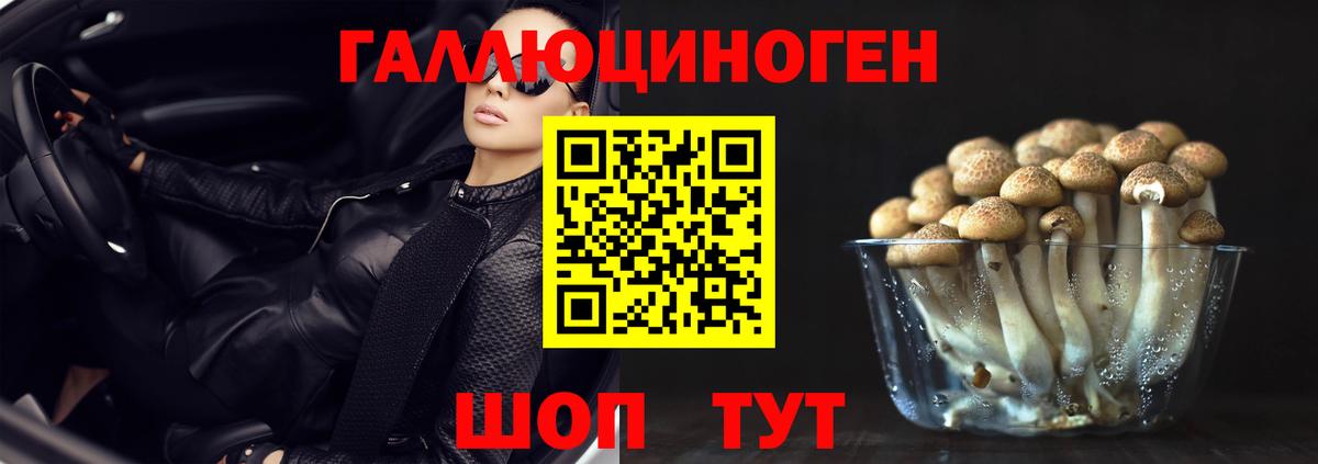 Галлюциногенные грибы мицелий Железногорск